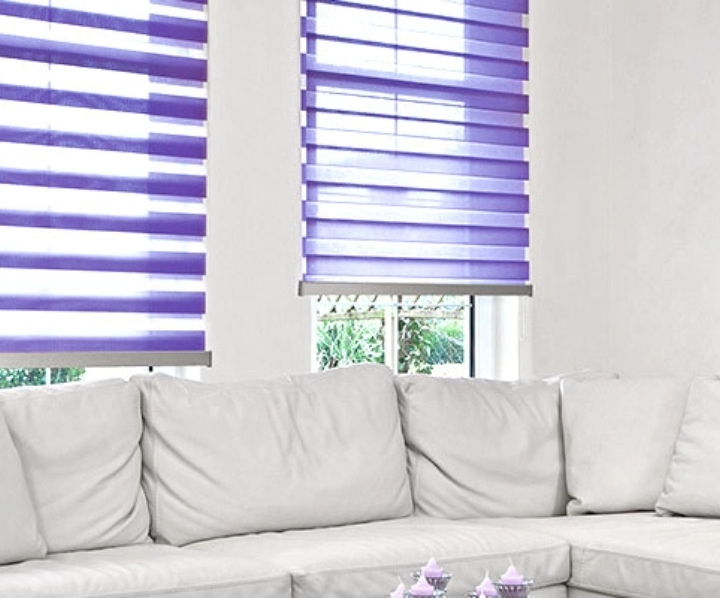 violettes Doppelrollos