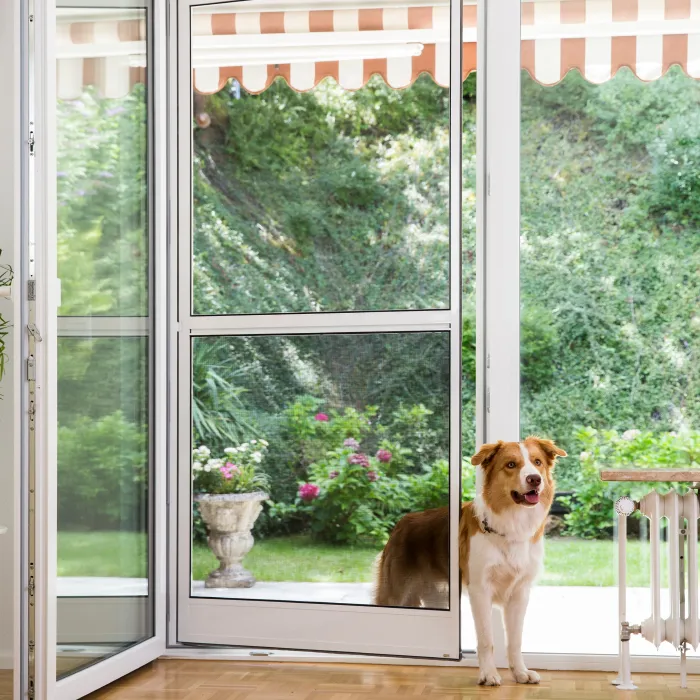 Hund steht an Terrassentür mit Fliegengitter Pendeltür als Insektenschutz nach Maß