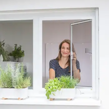 Frau öffnet Fenster mit integriertem Drehfenster Spannrahmen hinter Küchenkräutern