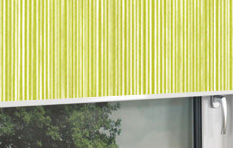 Große Auswahl an Rollos mit Streifen